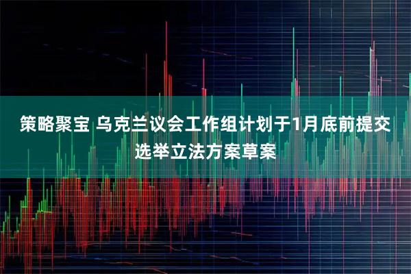 策略聚宝 乌克兰议会工作组计划于1月底前提交选举立法方案草案