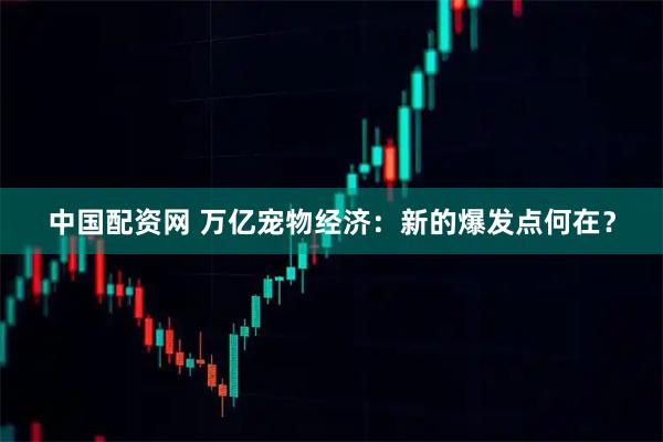 中国配资网 万亿宠物经济：新的爆发点何在？
